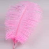 Strucctoll 55-60 cm - DAFNE #93